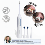 Détartreur pour Chien Patte d'Or.